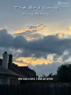 The bird song Va
