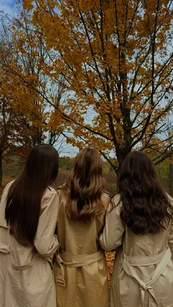 New Template