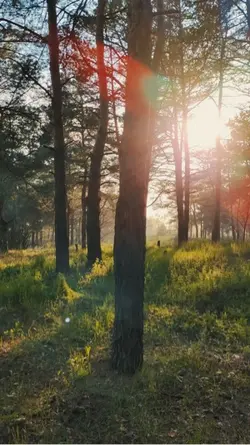 Nature scan