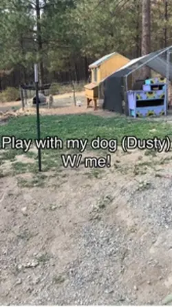 Playing with my dog!