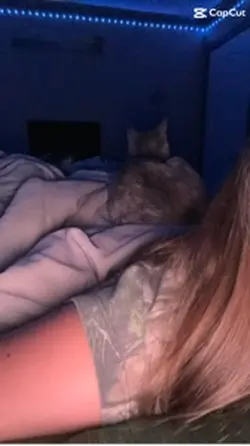 Stay up all nighttt!