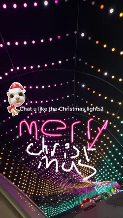 Christmas lights