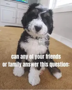 Answer this question