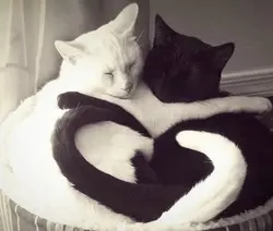 Love and Smiles