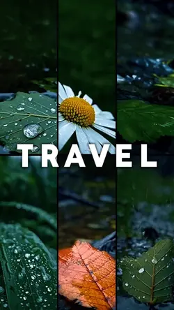 Travel Video