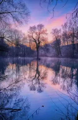 Beautiful things!!