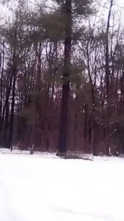 snowy day