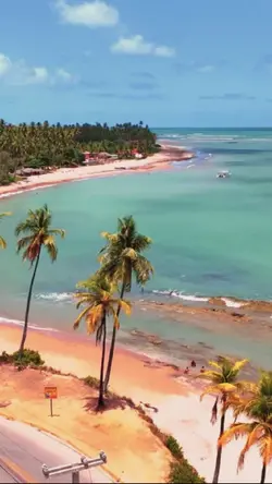 The Island