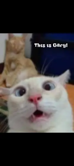 GARY