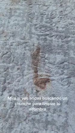 recomiendo este vapo
