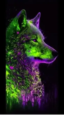 Wolf 