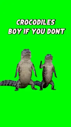 Crocodile dancing