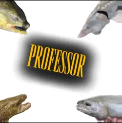 The Best Fish