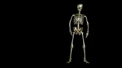 dancing skeleton