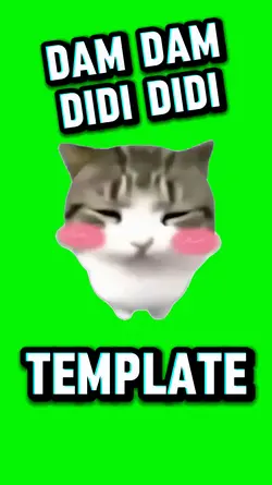 Dam Dam Didi Didi
