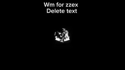 Wm for zzex 