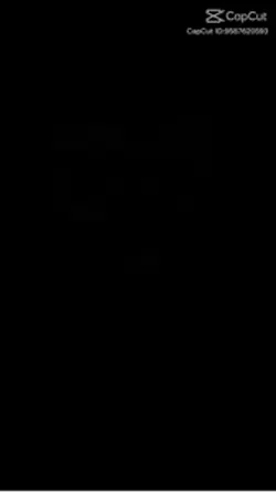 Venezian jr