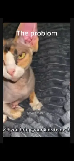 Edit