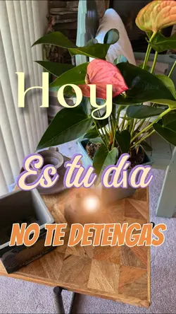✨ Empezar de nuevo