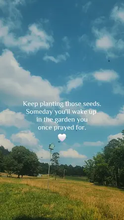 Planting seeds