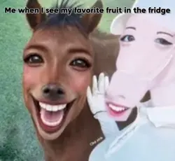 Fruit..