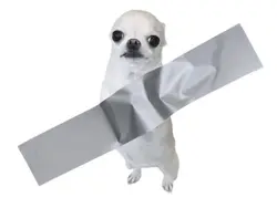 YABA.