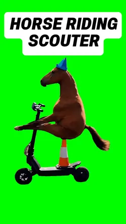 HORSE RIDING SCOUTER