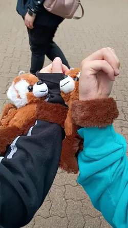 50/50