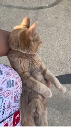 Milo