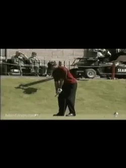 Tiger Woods
