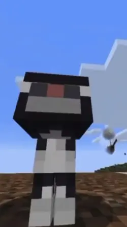 The best cat