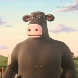 August