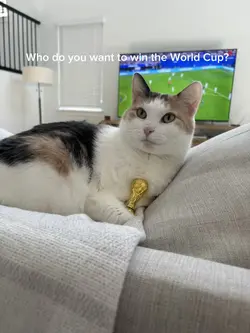 Spain vs Argentina