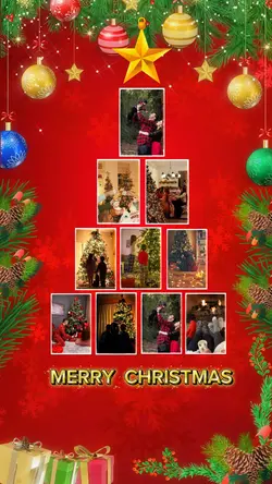 MERRY CHRISTMAS