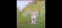 Wildcraft edit