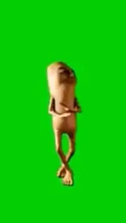 Tung dance my boy