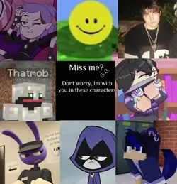 Miss me?