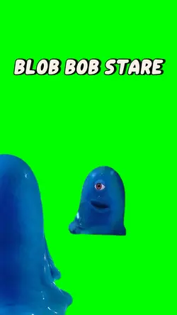 BOB STARES BACK
