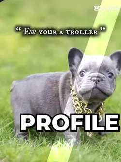 Troller