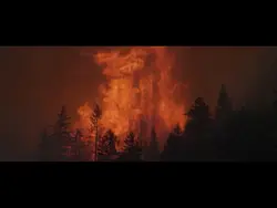 Save the planet