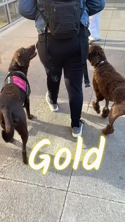 Gold