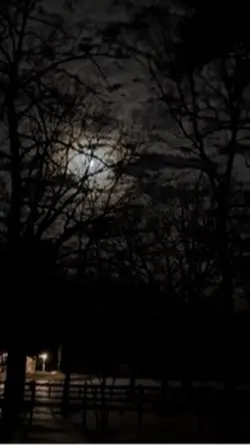 Full moon