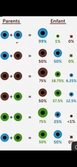 Blue/green eyes
