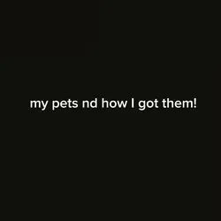 I have more but I 