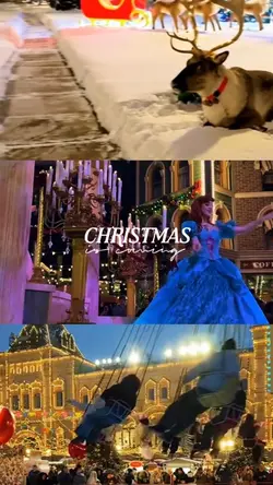 Christmas 🎄 