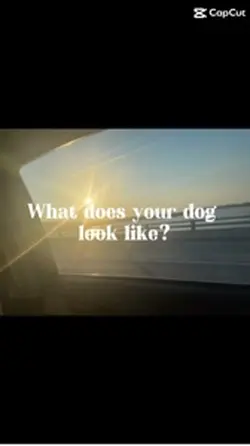 That my dog