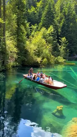 16 Videos Or Photos