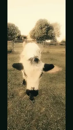 farm life pt2