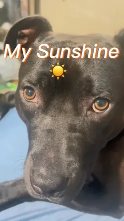 U r my sunshin