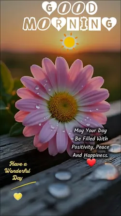 GOOD MORNING.
